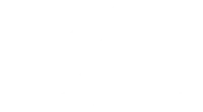 Penguin King